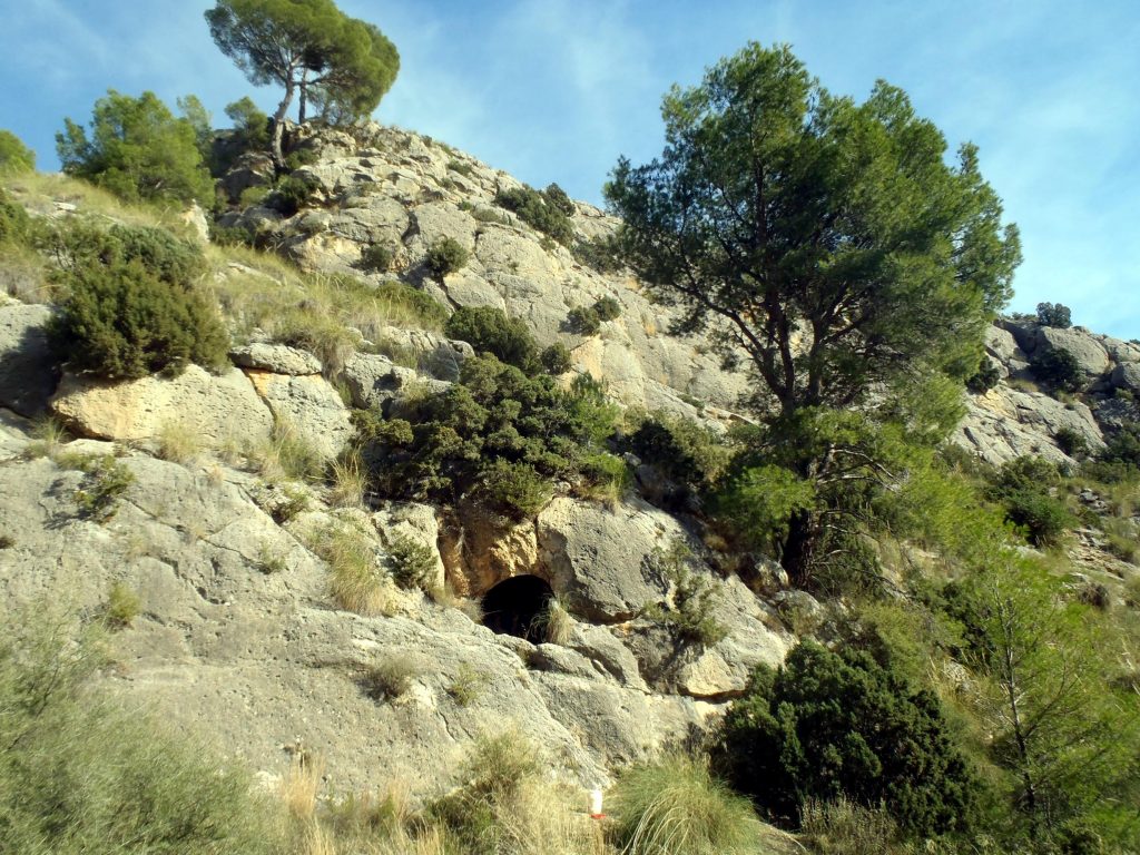 Entrada Cueva del Luchena